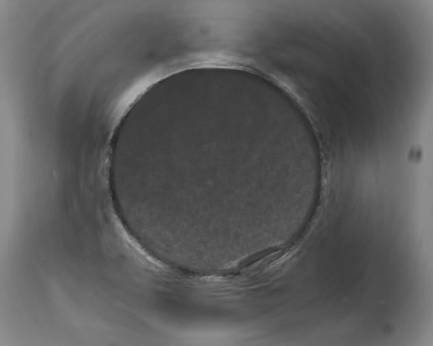 X0000113931463200911061208