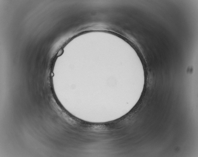 X0000113931464200911061208