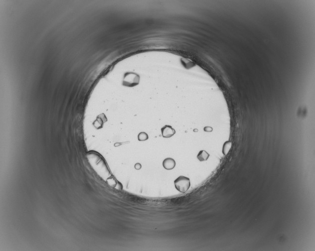X0000113931465200911061208