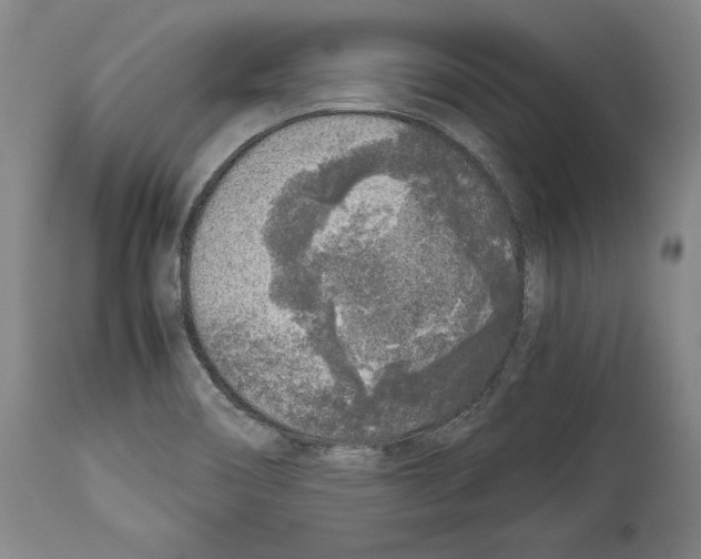 X0000113931466200911061208