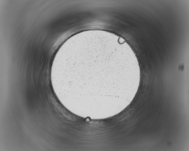 X0000113931469200911061208