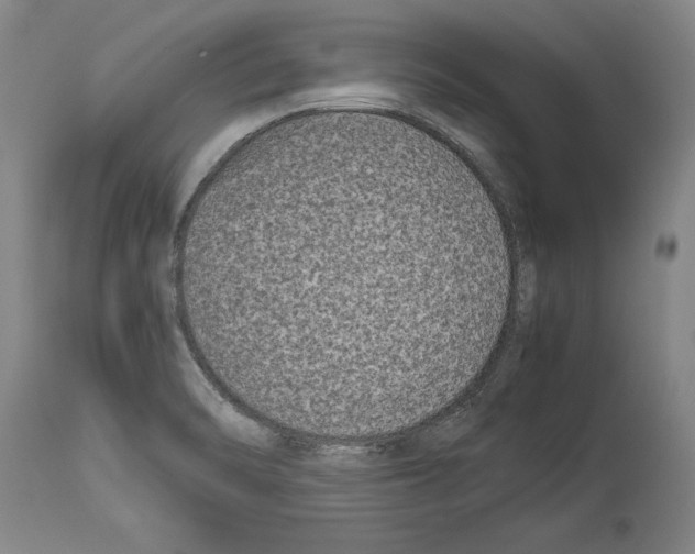X0000113931470200911061208