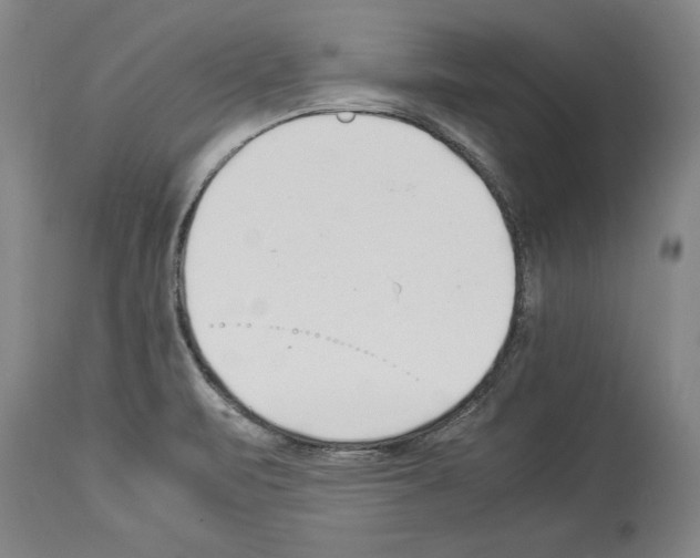 X0000113931471200911061208