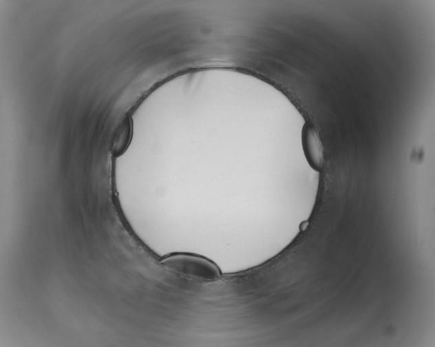 X0000113931472200911061208