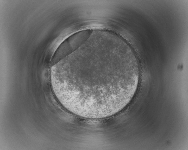 X0000113931473200911061208