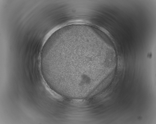 X0000113931474200911061208