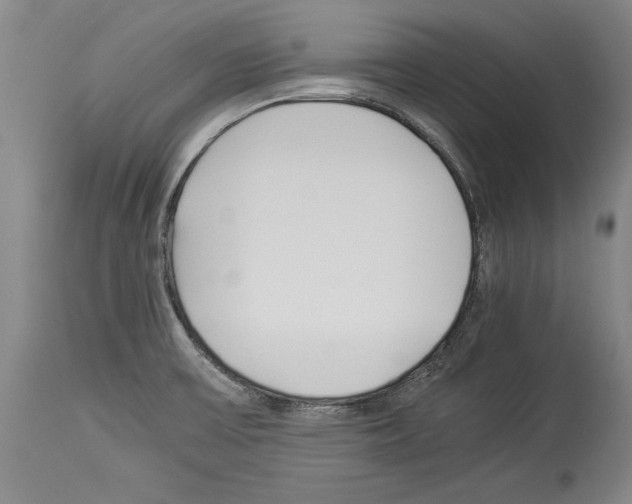 X0000113931475200911061208