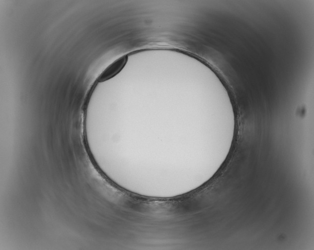 X0000113931476200911061208