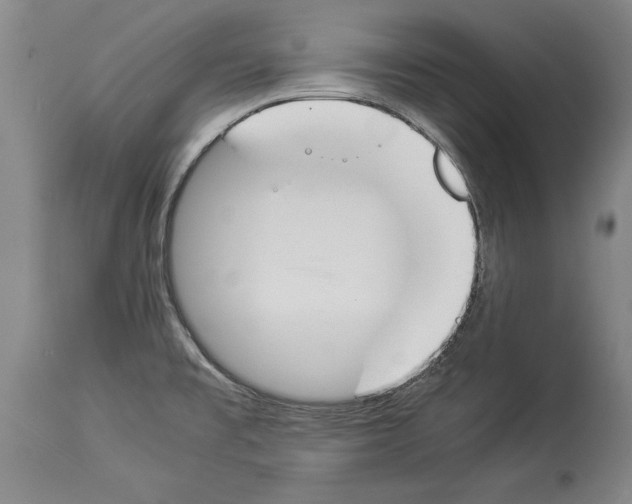 X0000113931477200911061208