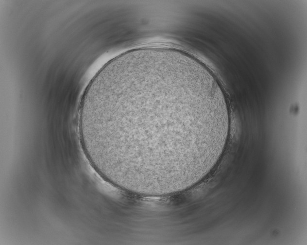 X0000113931478200911061208