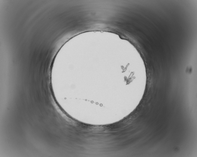 X0000113931479200911061208