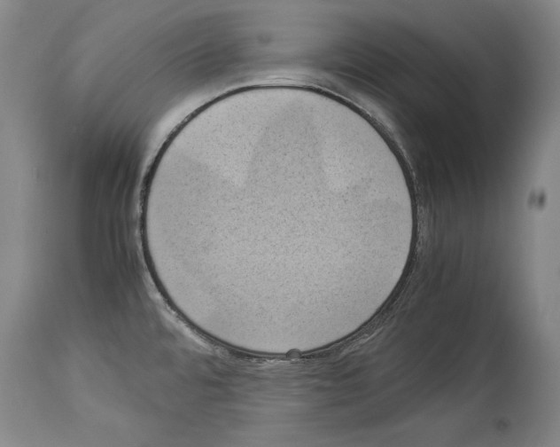 X0000113931480200911061208