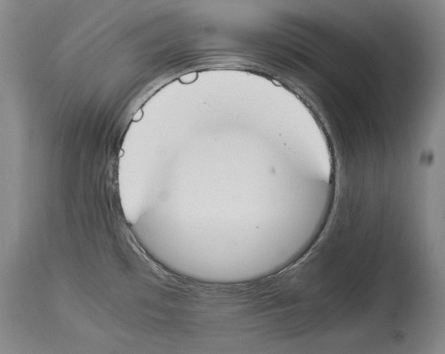 X0000113931481200911061208