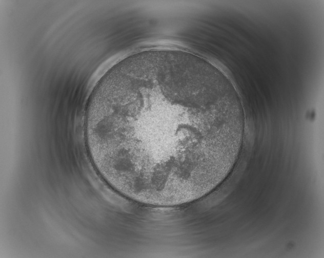 X0000113931482200911061208
