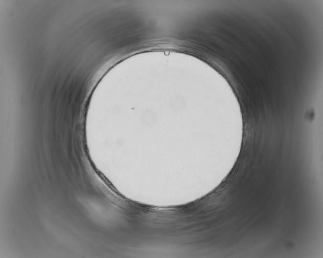 X0000113931483200911061208