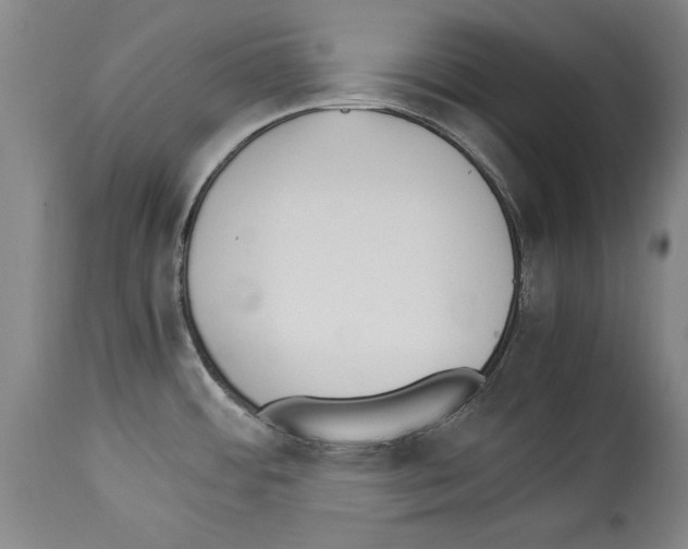 X0000113931484200911061208