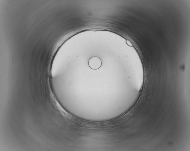 X0000113931485200911061208