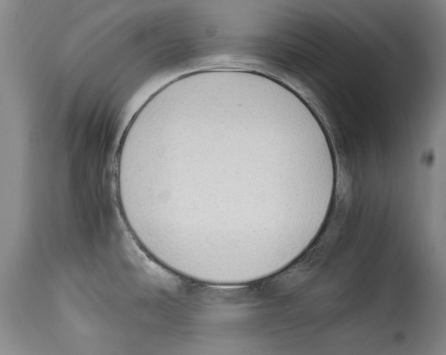 X0000113931486200911061208