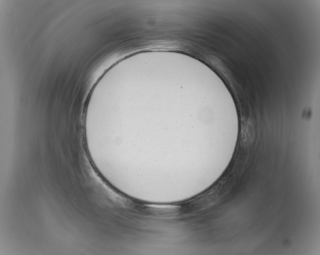 X0000113931487200911061208