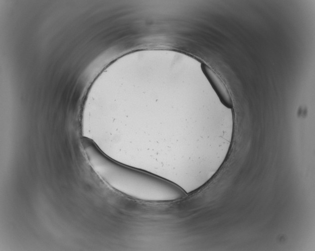 X0000113931488200911061208