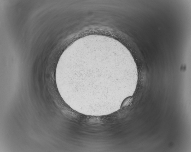 X0000113931489200911061207