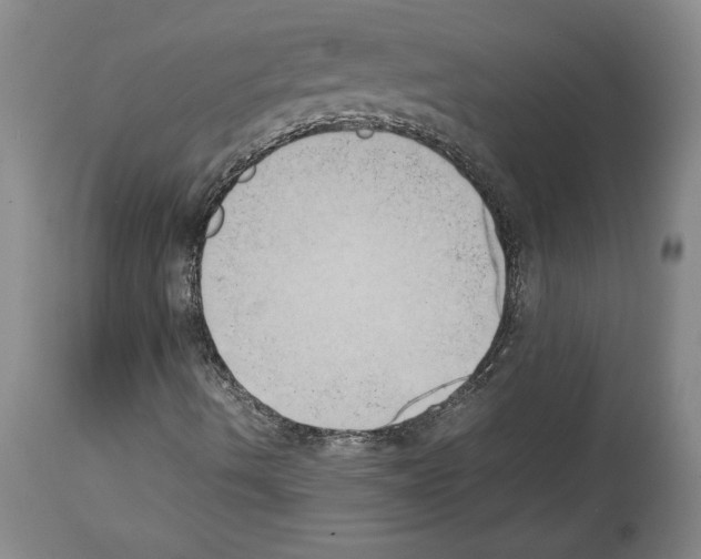 X0000113931490200911061207