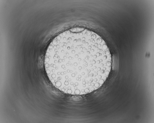 X0000113931491200911061207