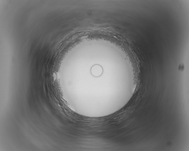 X0000113931492200911061207