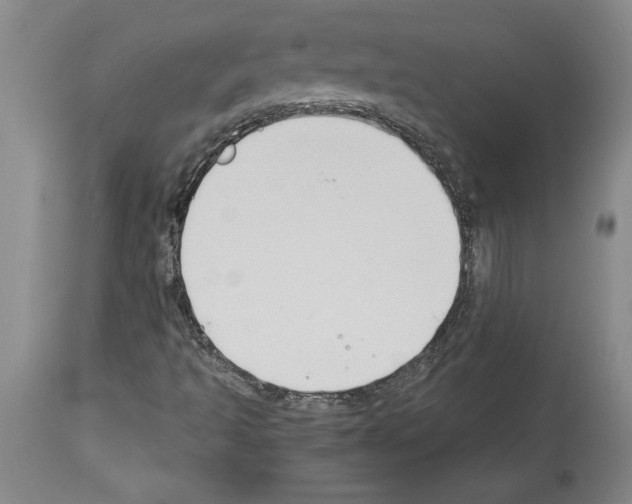 X0000113931493200911061207