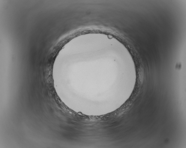 X0000113931494200911061207