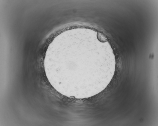 X0000113931495200911061207