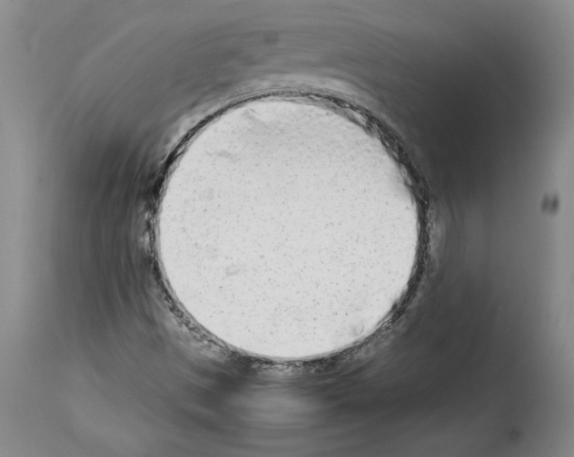 X0000113931497200911061207
