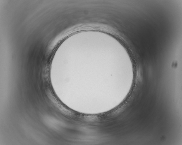 X0000113931498200911061207