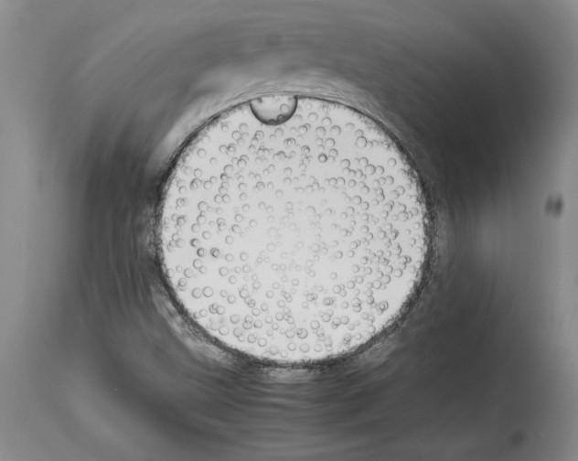 X0000113931499200911061207