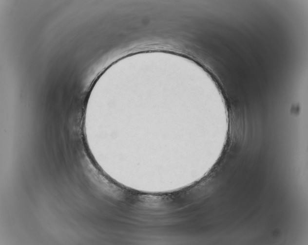 X0000113931500200911061207
