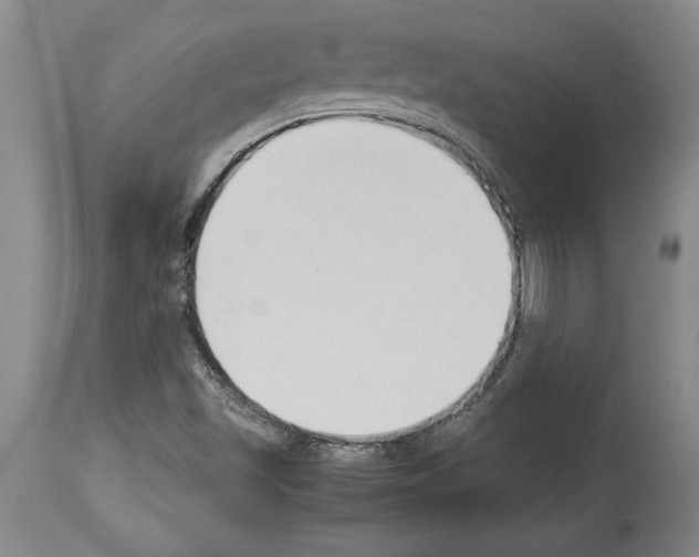 X0000113931501200911061207