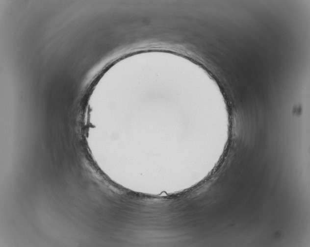 X0000113931502200911061207