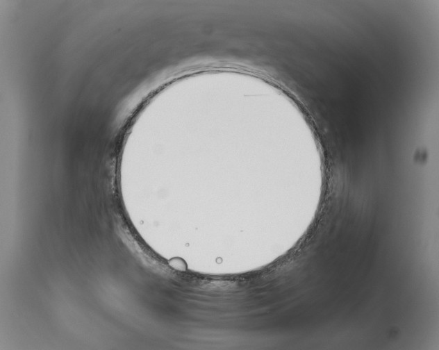 X0000113931503200911061207