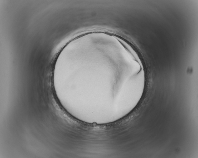 X0000113931504200911061207