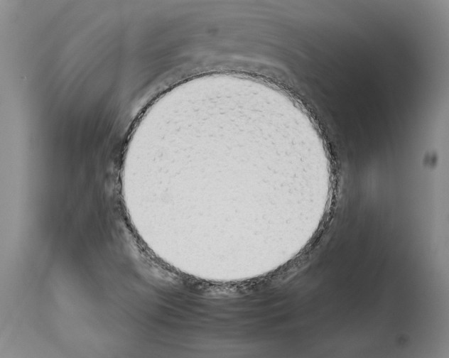 X0000113931505200911061207