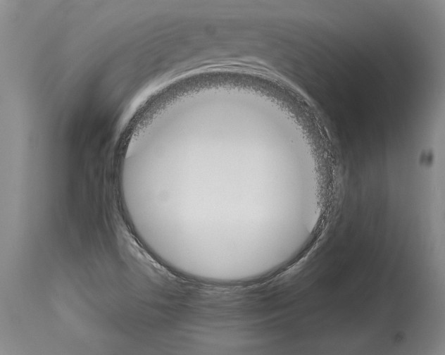 X0000113931506200911061207