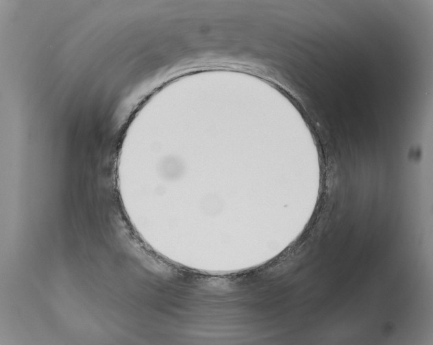X0000113931507200911061207