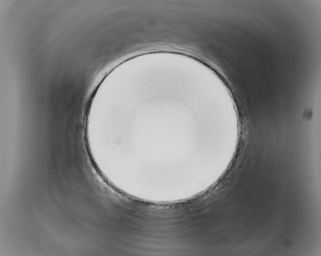 X0000113931508200911061207