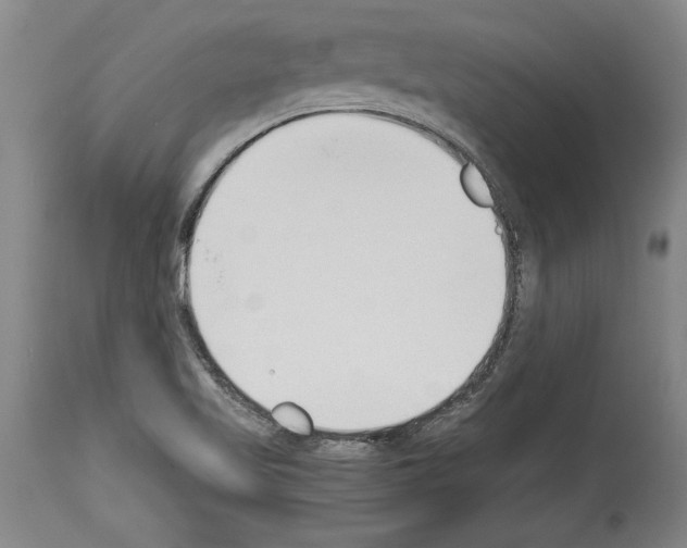 X0000113931509200911061207