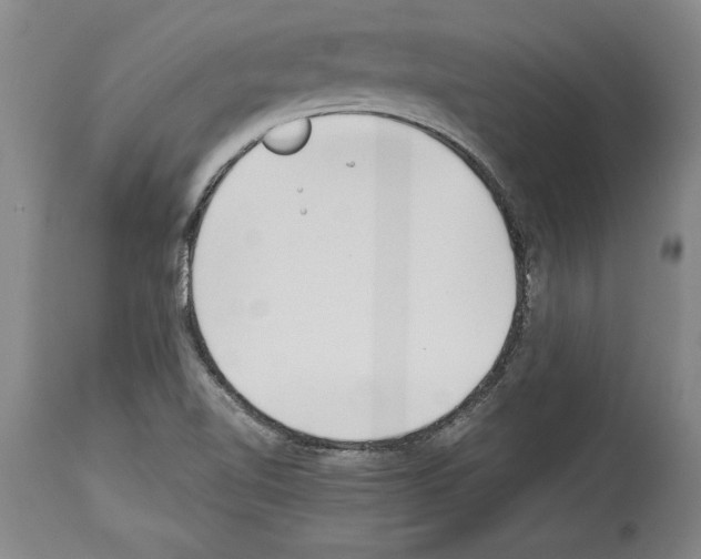 X0000113931510200911061207
