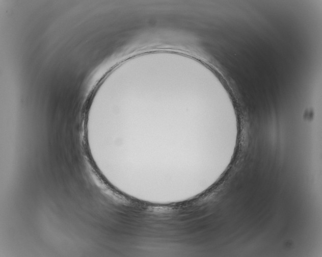 X0000113931511200911061207