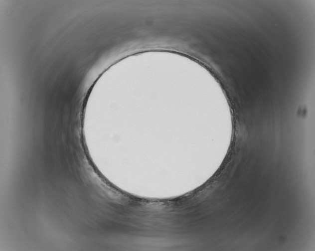 X0000113931512200911061208