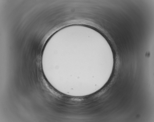 X0000113931513200911061208