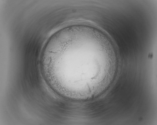 X0000113931514200911061208