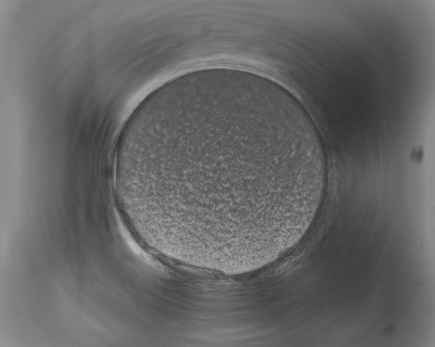 X0000113931515200911061208